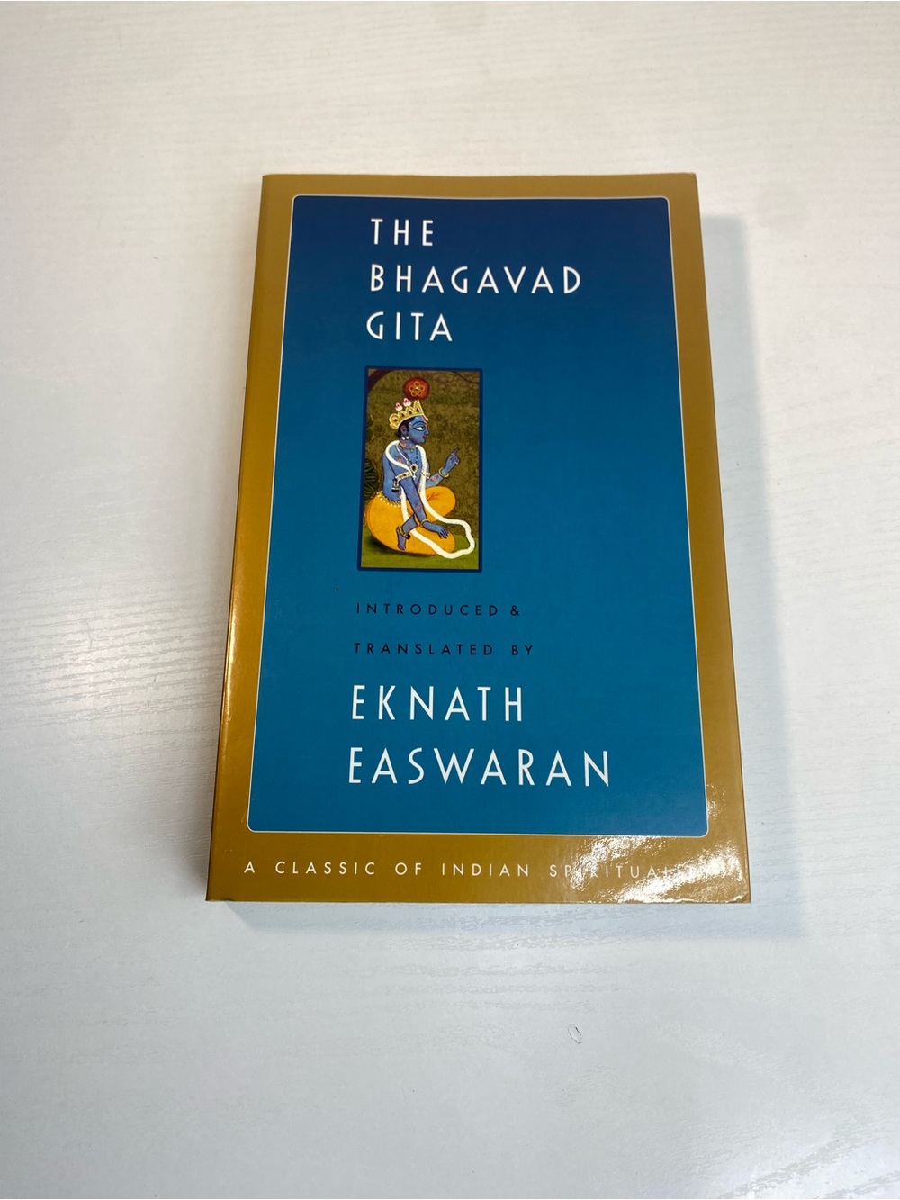 The Bhagavad Gita( paper cover book)